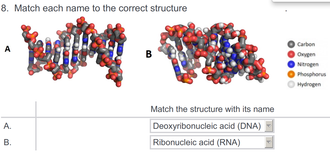Solved 1a. Distinguish between DNA and RNA structures | Chegg.com