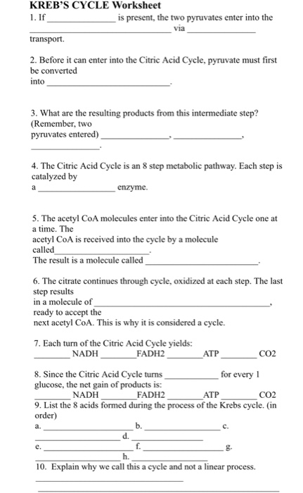 Solved KREB'S CYCLE Worksheet 1. If is present, the two | Chegg.com ...