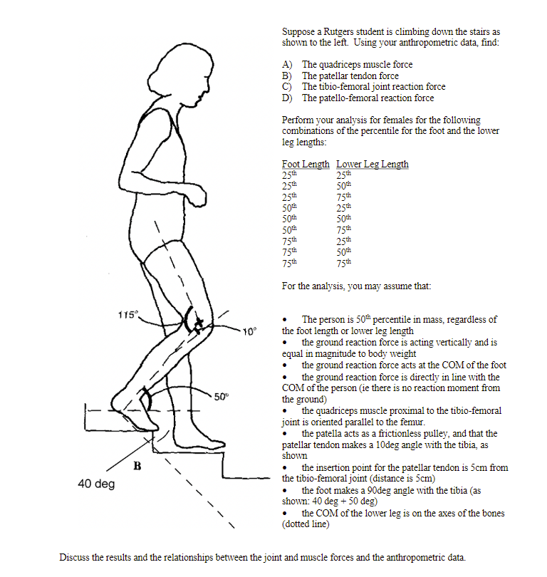 Solved Suppose a Rutgers student is climbing down the stairs | Chegg.com