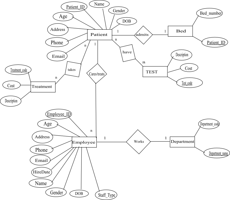 Solved Create a Normalized Entity Relationship (NER) Diagram | Chegg.com