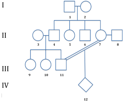 Solved The pedigree shown below depicts crosses performed as | Chegg.com