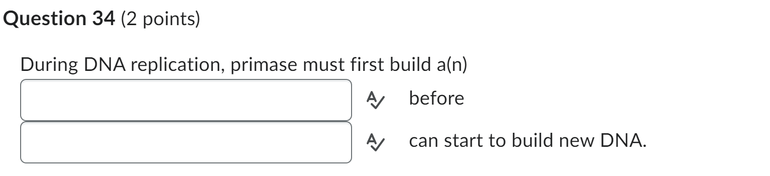 Question 34 (2 points)
During DNA replication, primase must first build a\( (n) \)
A before
can start to build new DNA.