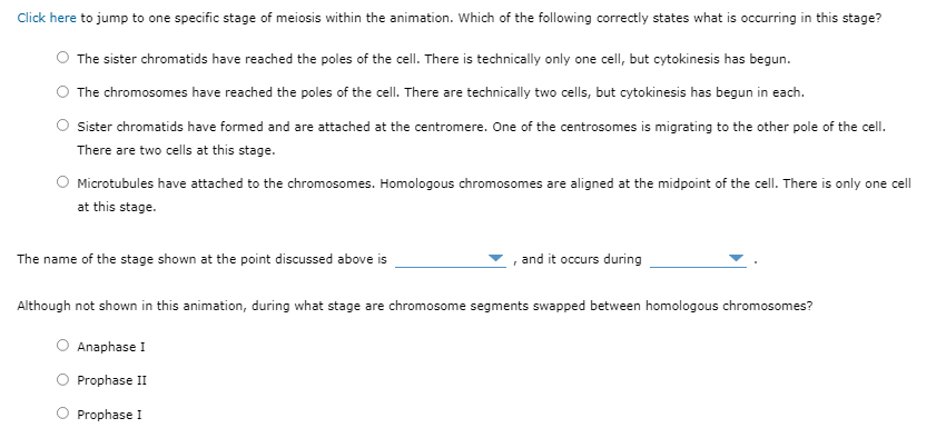 Solved Click here to jump to one specific stage of meiosis 