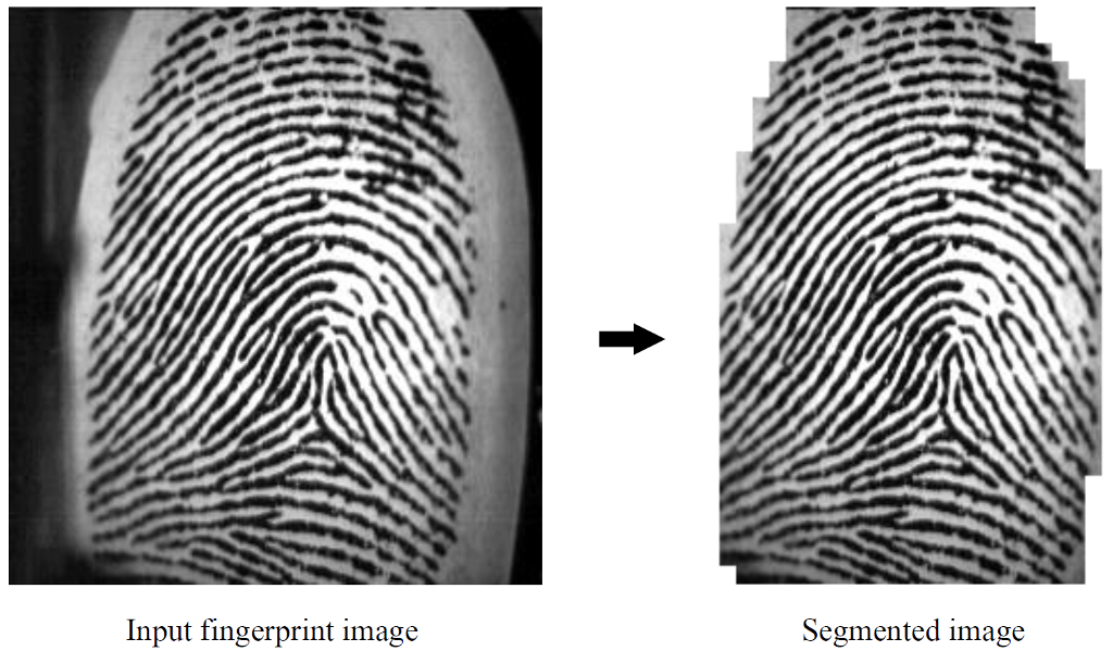 Solved [Python] [OpenCV] Fingerprint Segmentation | Chegg.com