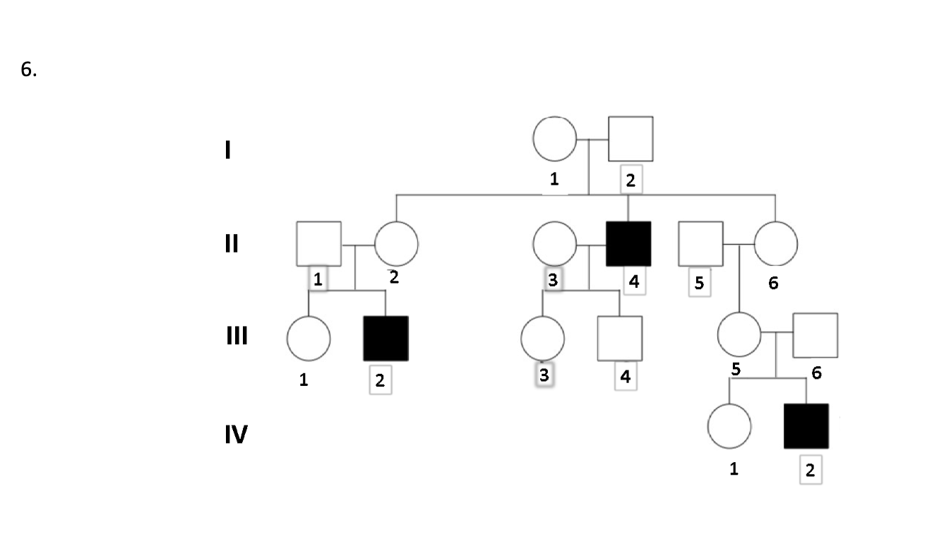 Solved Using the information in each of the pedigrees shown | Chegg.com