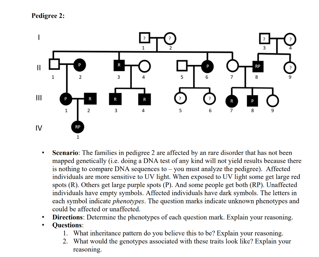 solved-pedigree-analysis-key-meaning-symbol-meaning-symbol-chegg