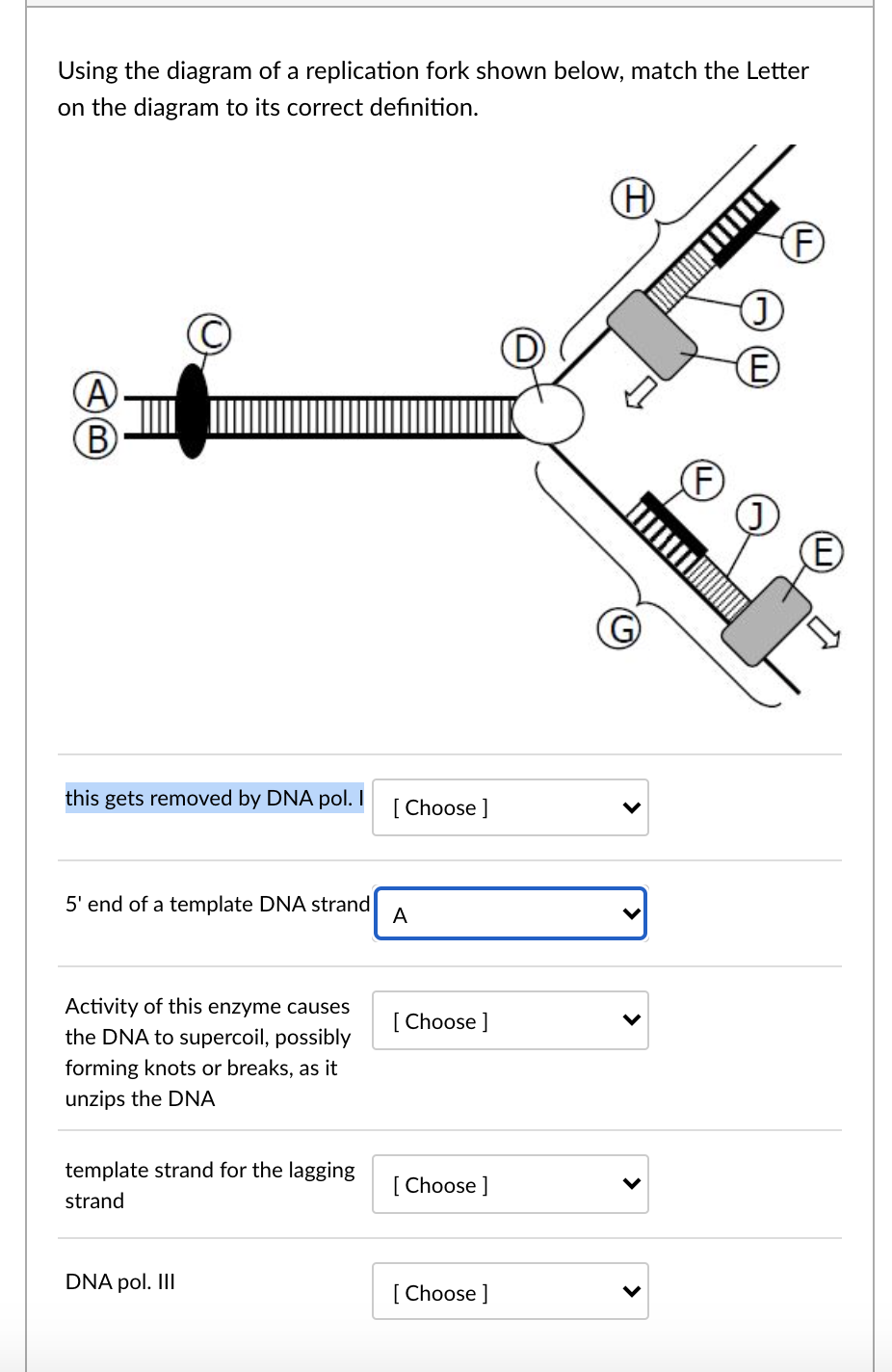 Solved Using the diagram of a replication fork shown below, | Chegg.com
