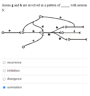 Solved Axons g and h are involved in a pattern of with | Chegg.com