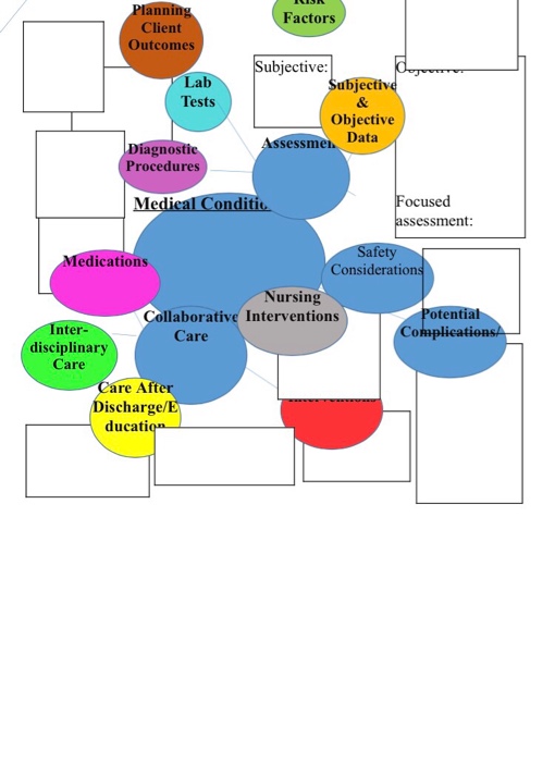 Solved Make A Concept Map On A Patient With Emphysema