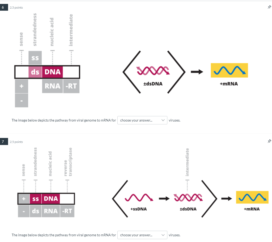 solved-the-questions-are-presented-in-the-image-the-chegg