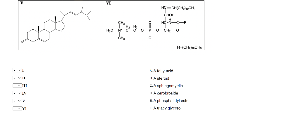 Solved Examine The Molecules Below Match Each Molecule W Chegg Com