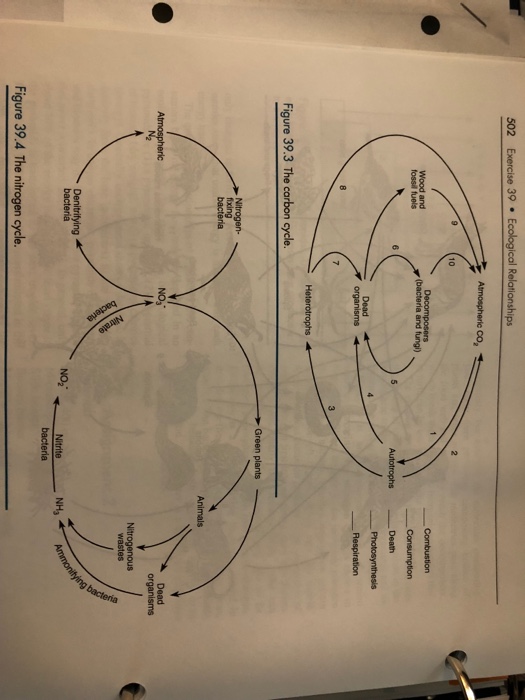 Solved 2. BIOGEOCHEMICAL CYCLES a. List the processes (by | Chegg.com
