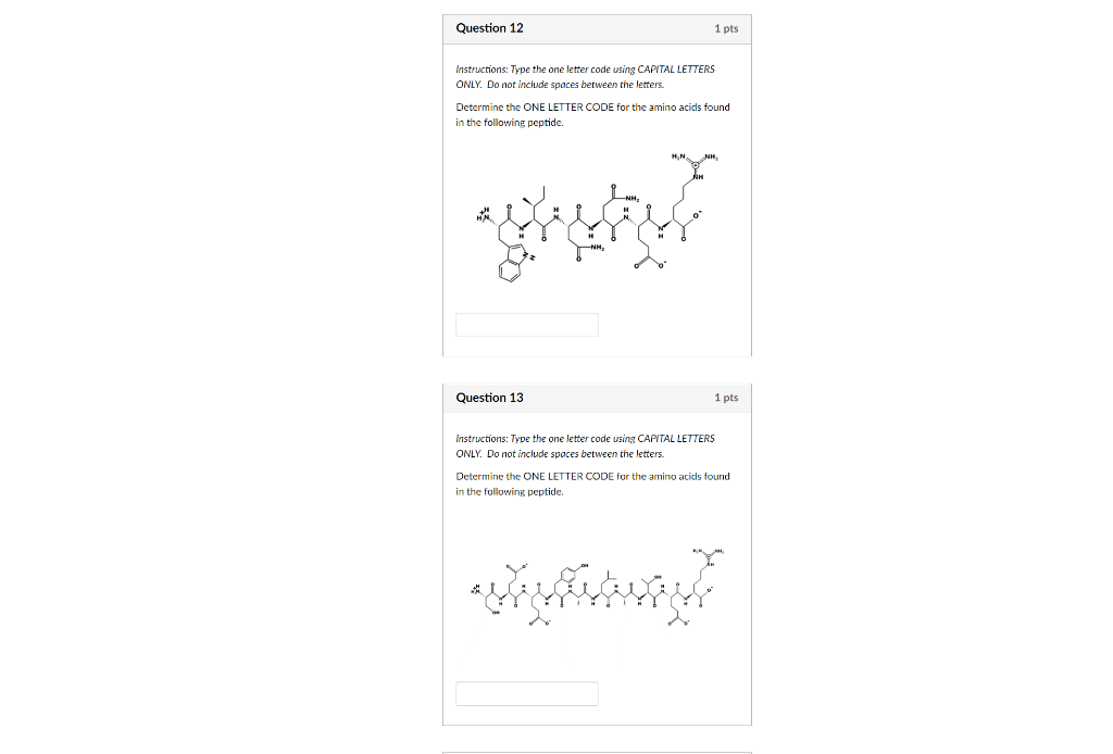 solved-instructions-type-the-one-letter-code-using-capital-chegg