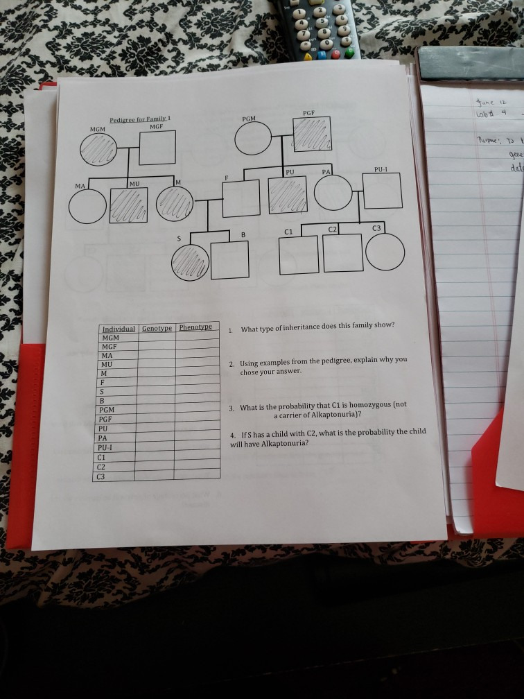 Student Data Sheet Alkaptonuria Answer Key 76+ Pages Solution Doc [1.4mb] - Updated 2021 