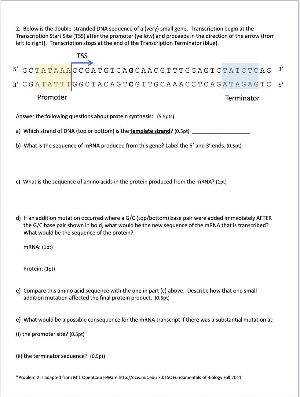 Solved Below Is The Double Stranded Dna Sequence Of A Very 0373