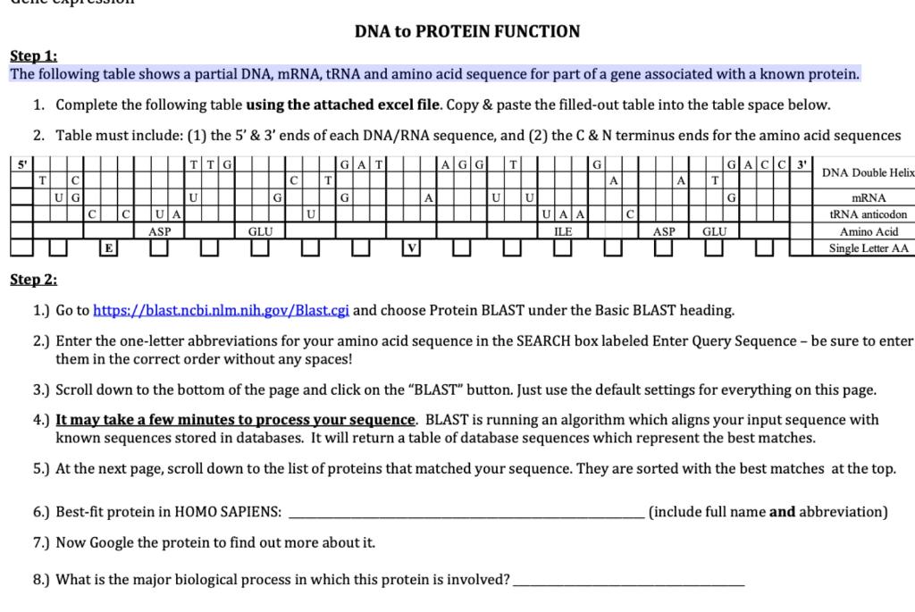 Solved DNA to PROTEIN FUNCTION Step 1: The following table | Chegg.com