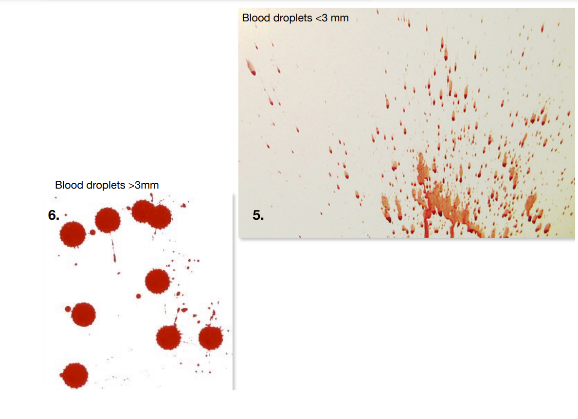 Blood Spatter Part I: At the crime scene, what test | Chegg.com