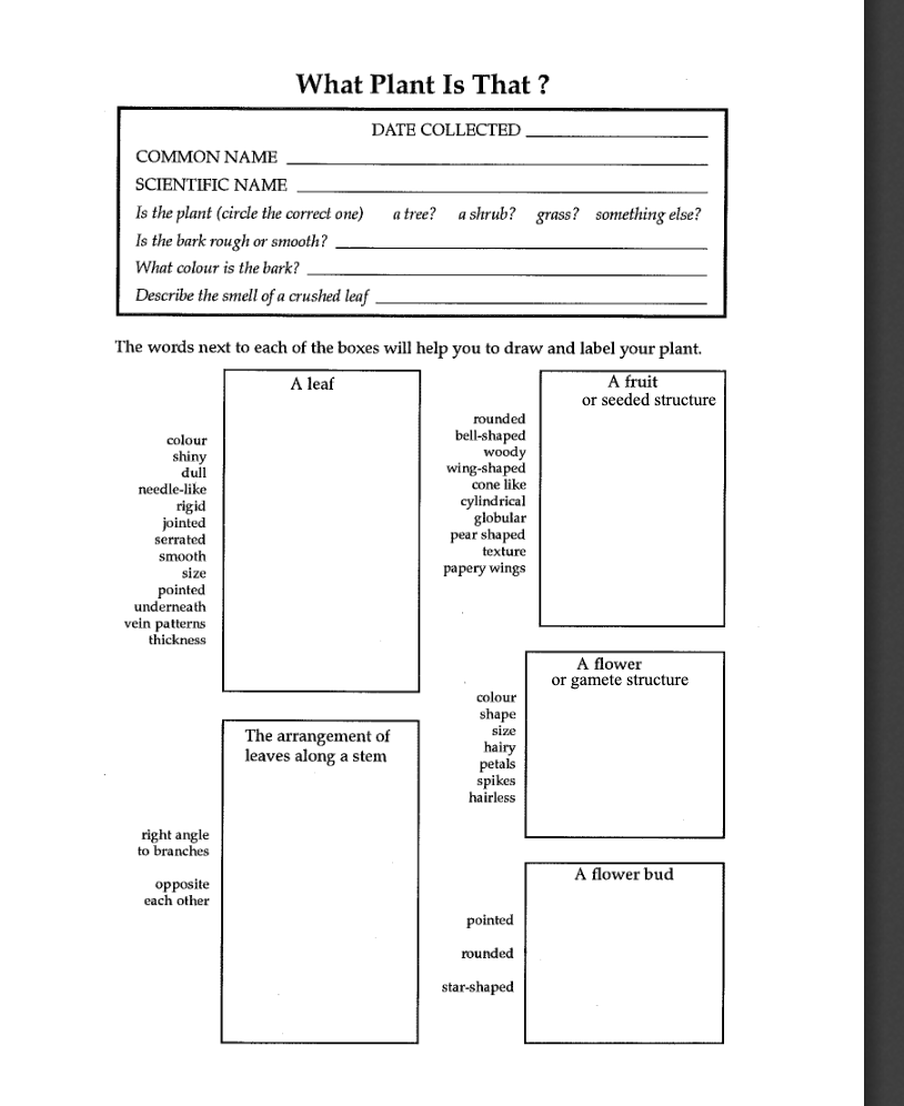 Solved 10 Student Name_ Date Task Select 5 species of a | Chegg.com