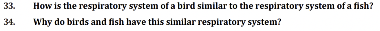 Solved 33. How is the respiratory system of a bird similar | Chegg.com