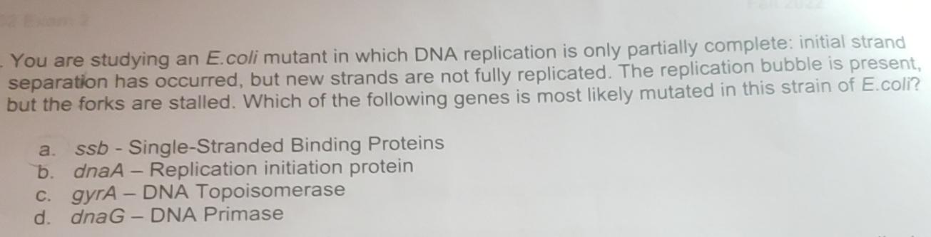 Solved You are studying an E.coli mutant in which DNA | Chegg.com