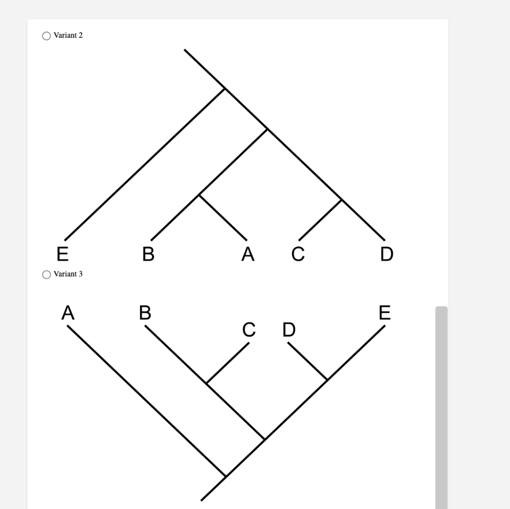 Solved Using The Given Phylogenetic Tree, Identify The | Chegg.com