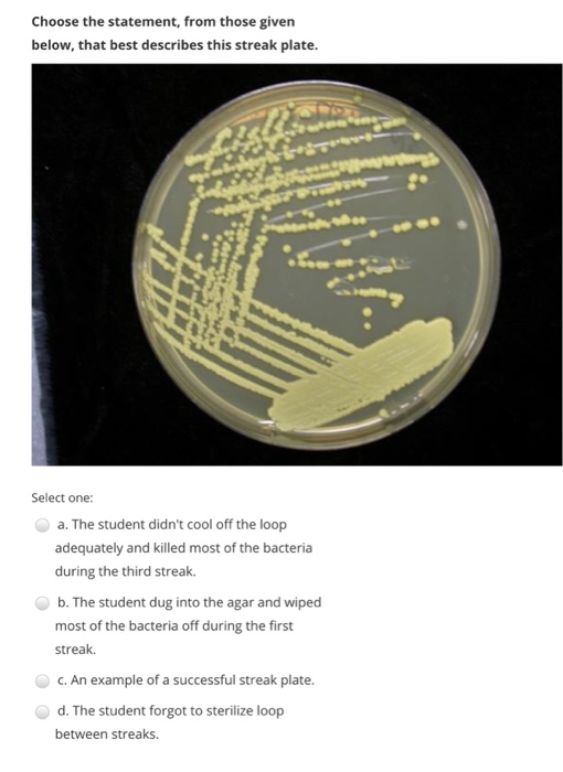 Solved A serial dilution of a bacterial culture is shown in
