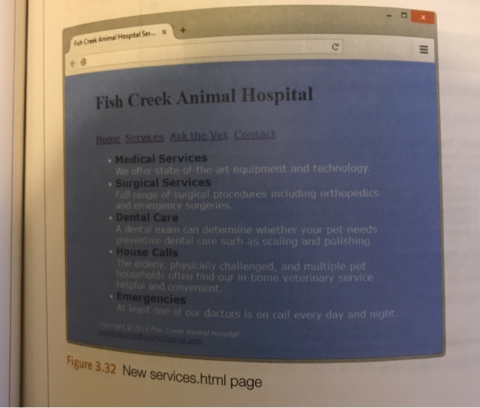 Solved Fish Creek Animal Hospital See Chapter 2 For An In...