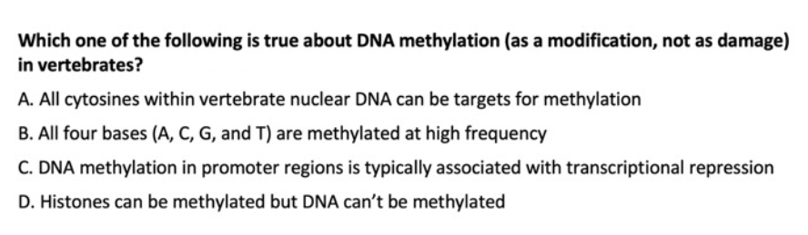 Solved Which one of the following is true about DNA | Chegg.com