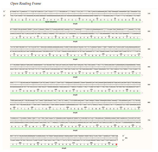Solved Primer Design for making point mutants of TEM1 End
