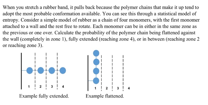 Solved When you stretch a rubber band, it pulls back because | Chegg.com