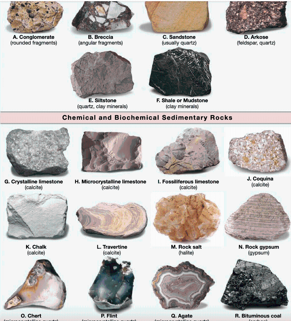 sedimentary rock types list