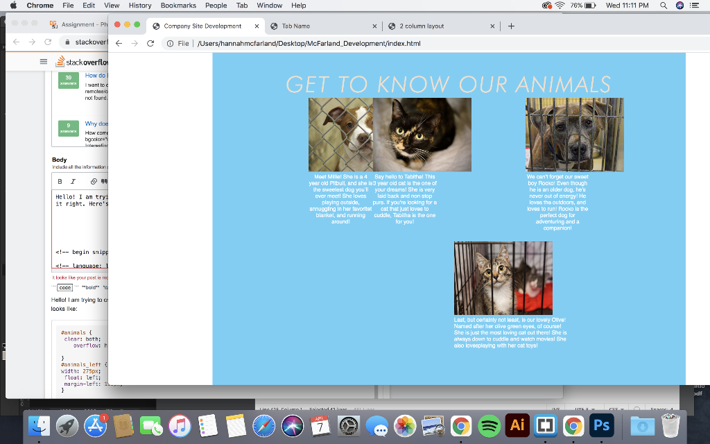 Solved Hello! I am trying to make a 4 column in HTML and CSS | Chegg.com