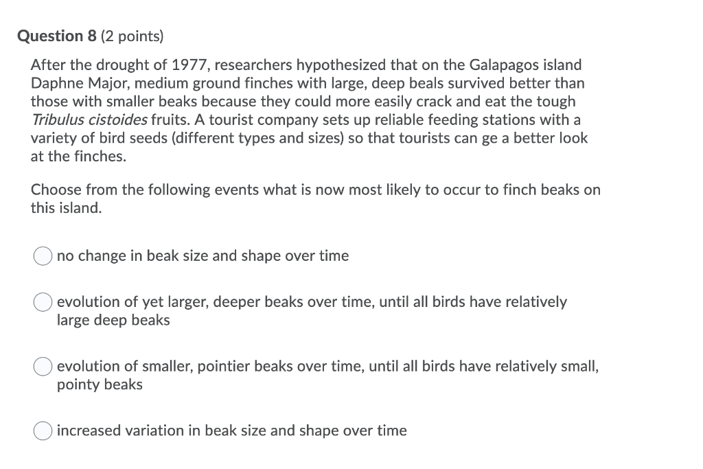 Solved Question 4 (2 points) Which one of the following is a | Chegg.com