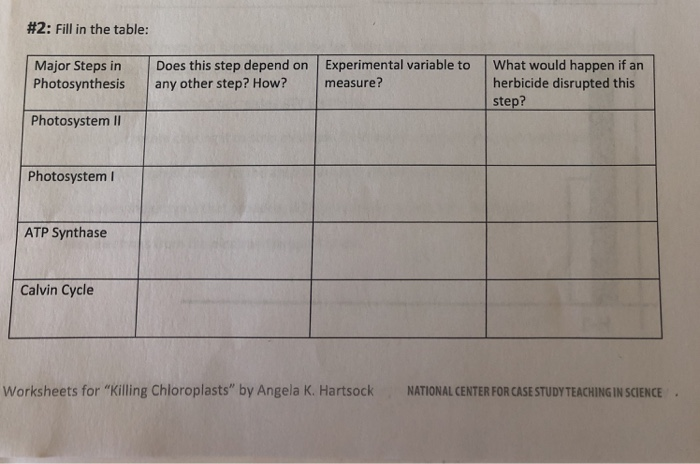 Photosynthesis Concept Map Worksheet Part 1 Illuminating Photosynthesis 