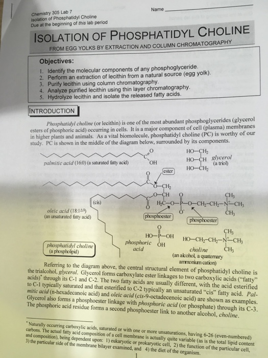 Solved Name Chemistry 305 Lab 7 Isolation of Phosphatidyl
