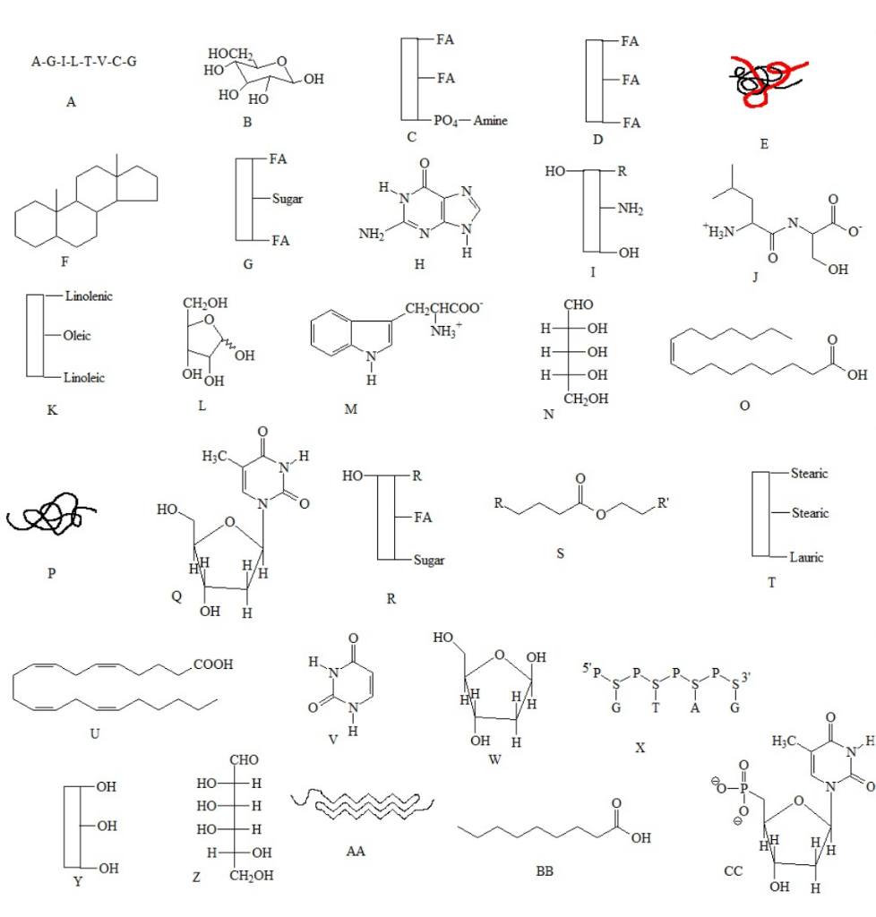 Solved 60. Write the letter of the structure that best | Chegg.com