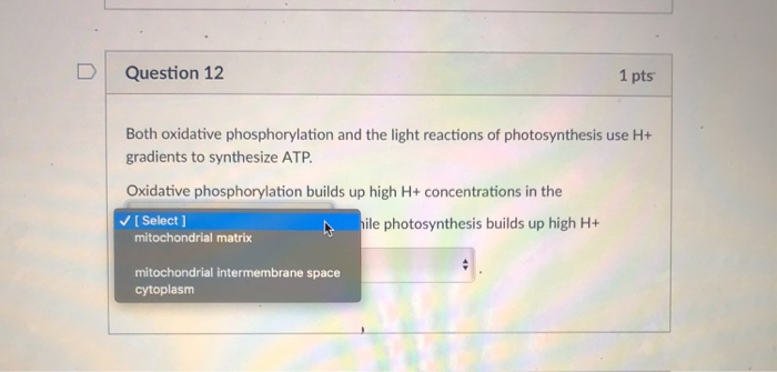 Solved 1 pts D Question 19 Which of the following key | Chegg.com