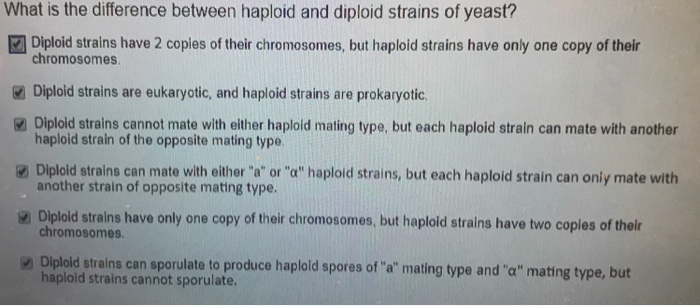 Solved What Is The Difference Between Haploid And Diploid | Chegg.com