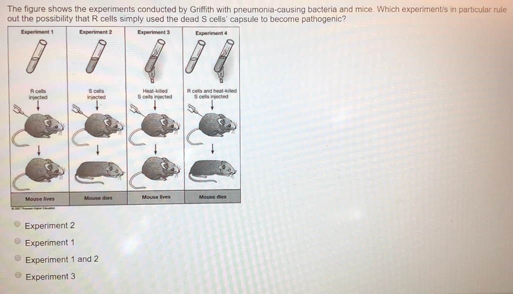 Solved The figure shows the experiments conducted by | Chegg.com