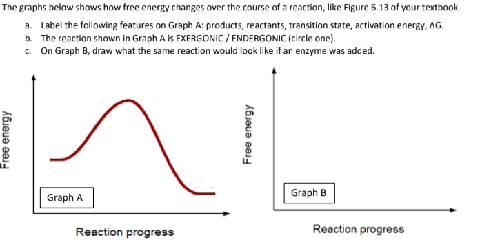 Solved 1.The diagram at right shows a representation of | Chegg.com