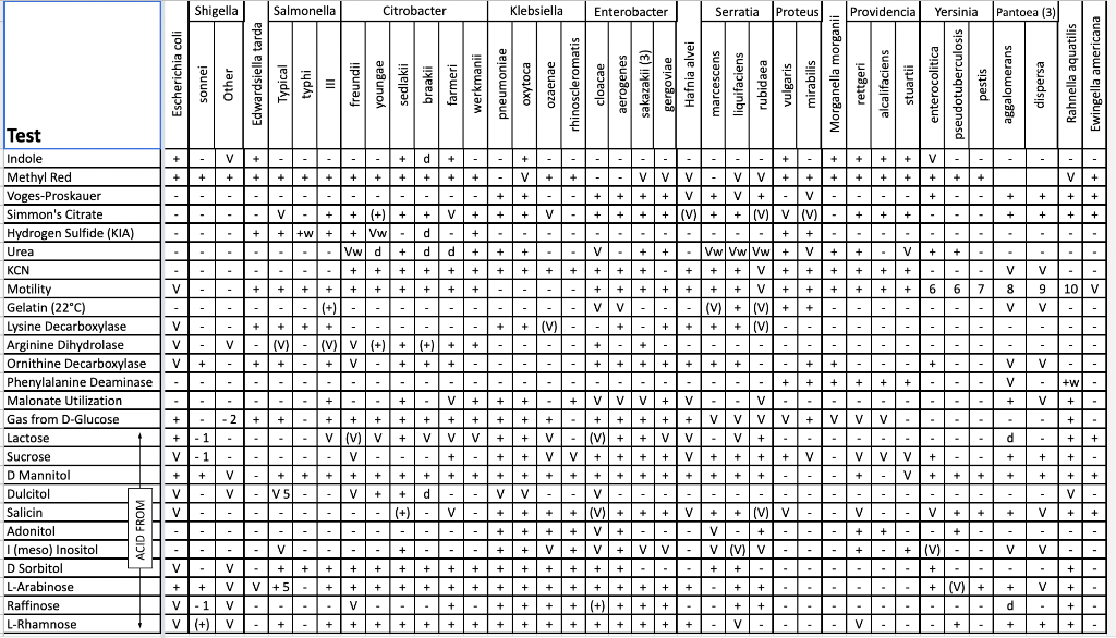 Help Me Complete A Dichotomous Key To Identify My 