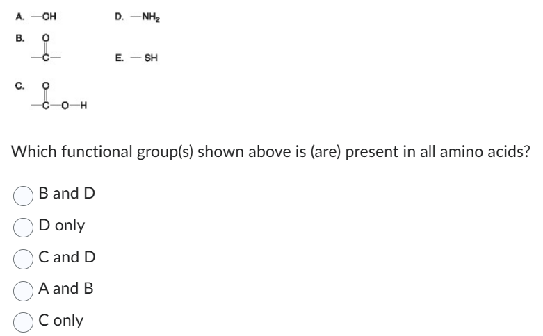 A. \( -\mathrm{OH} \)
D. \( -\mathrm{NH}_{2} \)
B. \( \begin{array}{ll}\mathrm{O} & \text { E. }-\mathrm{SH}\end{array} \)
c.