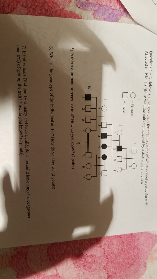 Solved Questions 5-7. Below is a pedigree chart for a | Chegg.com