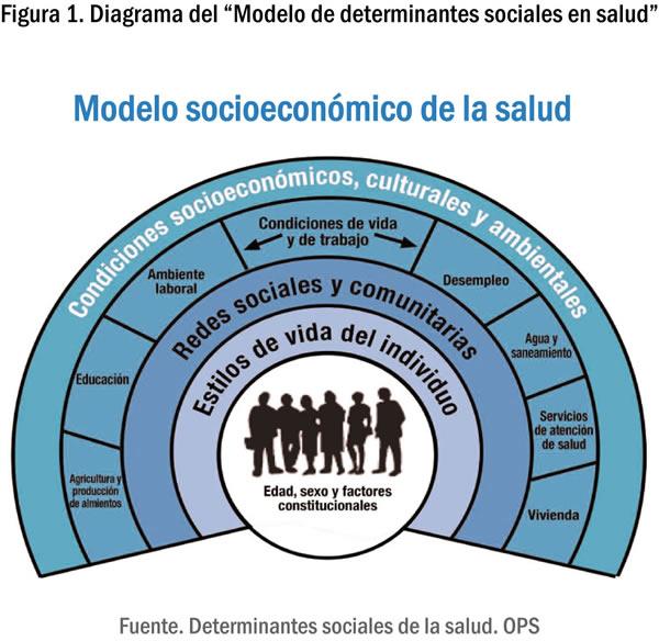 Determinantes Sociales del Nivel de Salud Flashcards 