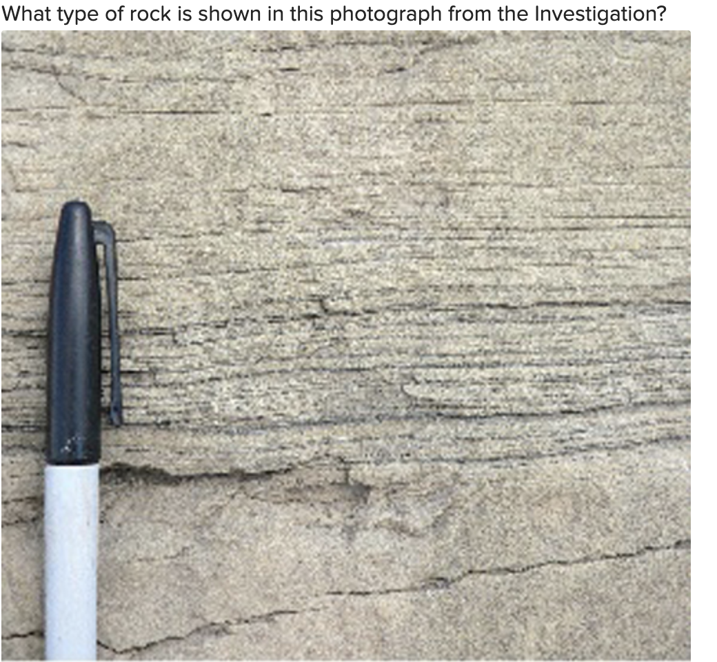 Solved What type of rock is shown in this photograph from