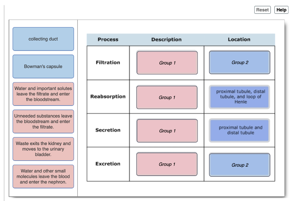 Drag The Labels To Their Appropriate Locations On The Diagram