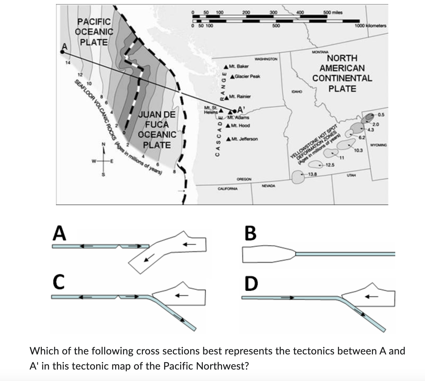Solved Which of the following cross sections best represents | Chegg.com