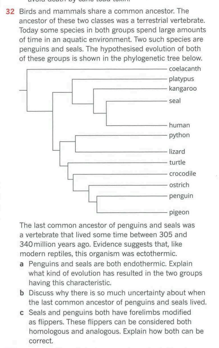 Solved 32 Birds and mammals share a common ancestor. The | Chegg.com