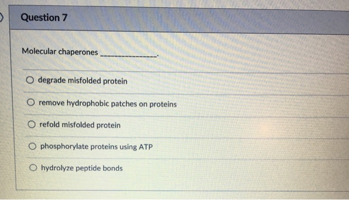 Solved Question 7 Molecular chaperones O degrade misfolded | Chegg.com