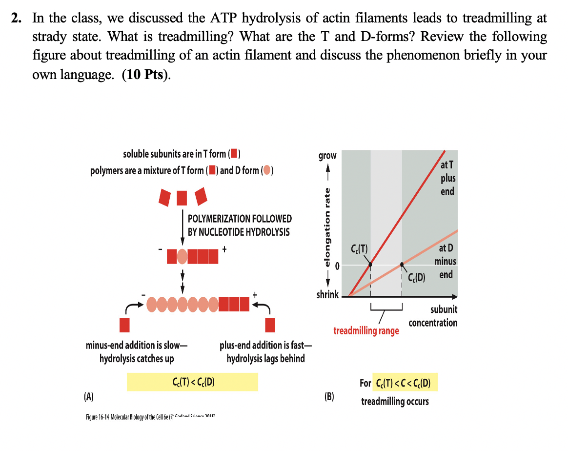 Solved 2. In the class, we discussed the ATP hydrolysis of | Chegg.com
